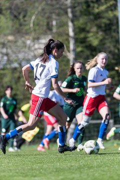 Bild 259 - wBJ Hamburger SV - WfL Wolfsburg : Ergebnis: 2:1